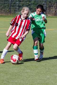 Bild 223 - C-Juniorinnen Kaltenkirchener TS - TuS Tensfeld : Ergebnis: 7:0